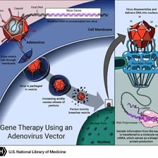 An educational illustration connecting DNA and gene therapy.
