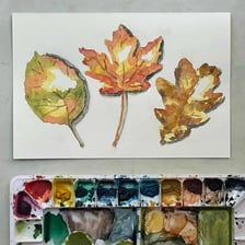 Ochre pigment beside ochre-colored autumn leaves