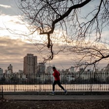 A person awake and active in the morning.