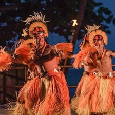 A dancer performing hula in traditional Hawaiian attire.