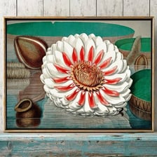 An ornate lily illustrating excessive decoration