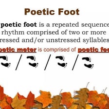An educational diagram showing poetic feet in a metrical line.
