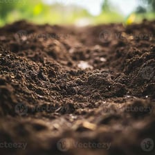 A close view of loose dark soil.