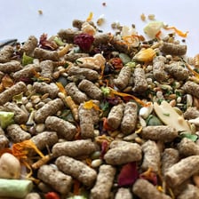 A hamster beside a small food pellet