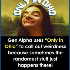 A surreal internet meme referencing Ohio.