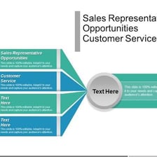 A sales representative discussing a service with a customer