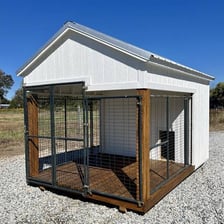 A dog resting inside a kennel at an animal shelter.
