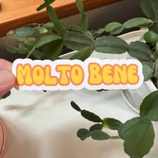 The Italian phrase “molto bene” displayed in a cultural setting