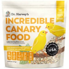 A yellow canary eating seeds from a feeder.
