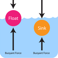 An object floating buoyantly on water