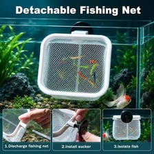 A small-handled net used to scoop items from an aquarium.