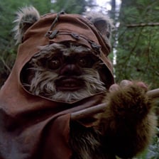 An Ewok character from the Star Wars universe on Endor.