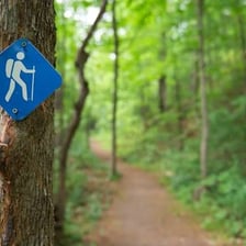 A person following a shorter path that cuts across a longer route
