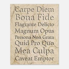 A manuscript displaying Latin text