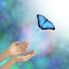 A hand letting go of an object