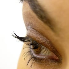 A close-up view of eyelashes along an eyelid