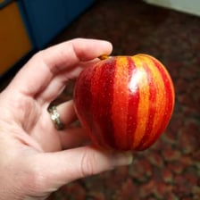 A Gala apple with red-and-yellow striped skin