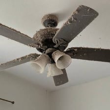Dust accumulated on the blades of a ceiling fan