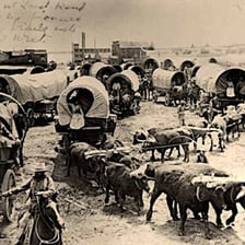 A pair of oxen harnessed to pull a wooden wagon