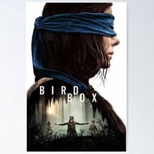 A poster for the 2018 film Bird Box starring Sandra Bullock