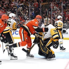 Professional ice hockey imagery featuring teams such as the Ducks and Penguins