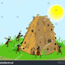 Ants working around a raised anthill.