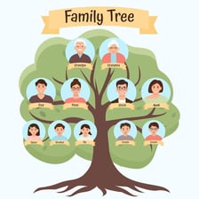 A family tree illustrating ancestry across generations