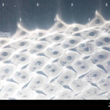 A small bright reflection of sunlight on a metal surface