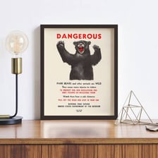 An educational wildlife illustration depicting a dangerous animal attack.