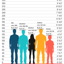 A visual comparison between a short person and a tall person