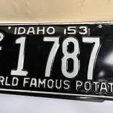 An Idaho license plate displaying a potato image
