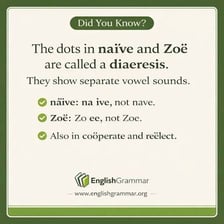 A simple illustration showing two dots above a vowel