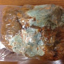 Rotten food presented as visibly repulsive