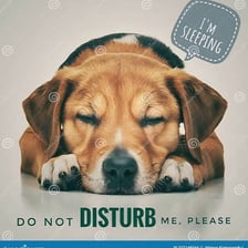 A sleeping dog resting peacefully with a do-not-disturb message