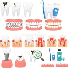 An illustration showing teeth and a toothbrush for oral health