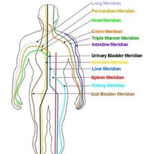 An educational diagram showing acupuncture meridians on the human body.
