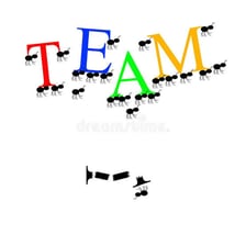 A simple educational illustration showing that the word TEAM contains no letter I.