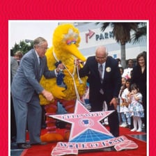Big Bird, the large yellow Sesame Street character