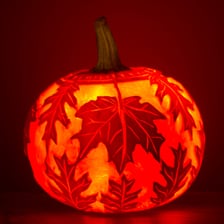 People carving pumpkins during fall
