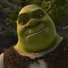 Shrek, the green ogre from the animated film series