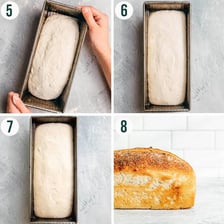 Bread dough rising inside loaf pans