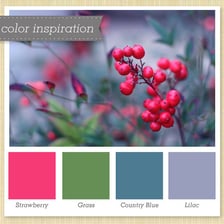 Swatches showing red, blue, and green hues