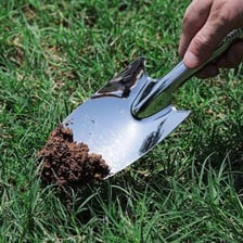 A pointed garden spade being used in soil