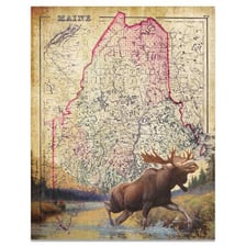 A map of Maine alongside a moose, highlighting the state’s iconic animal