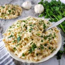 Fettuccine coated in creamy Alfredo sauce