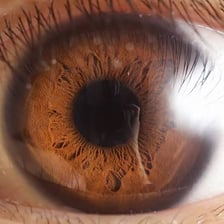 A close-up of a human eye with its iris clearly visible.