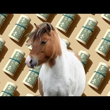 A pony shown beside money to represent the phrase “pony up.”