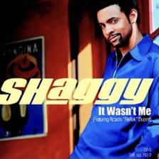 A still or promotional image associated with Shaggy’s song “It Wasn’t Me.”