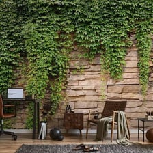 A stone wall covered in climbing ivy