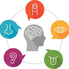 An educational illustration representing extrasensory perception.